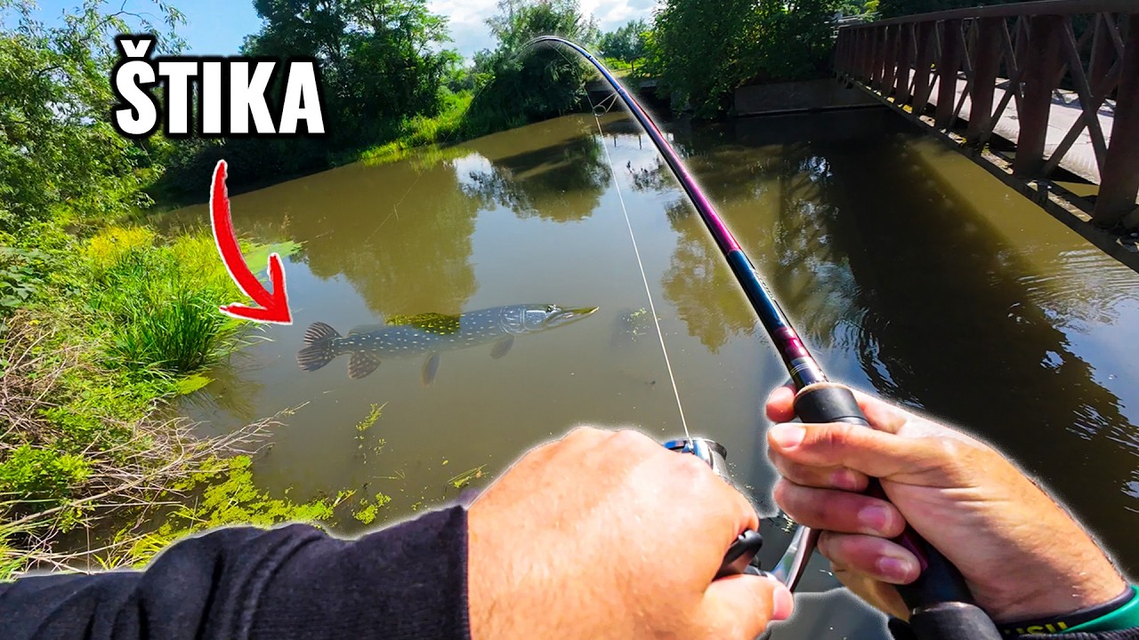 Jak chytit jednodu&scaron;e &scaron;tiku na př&iacute;vlač?