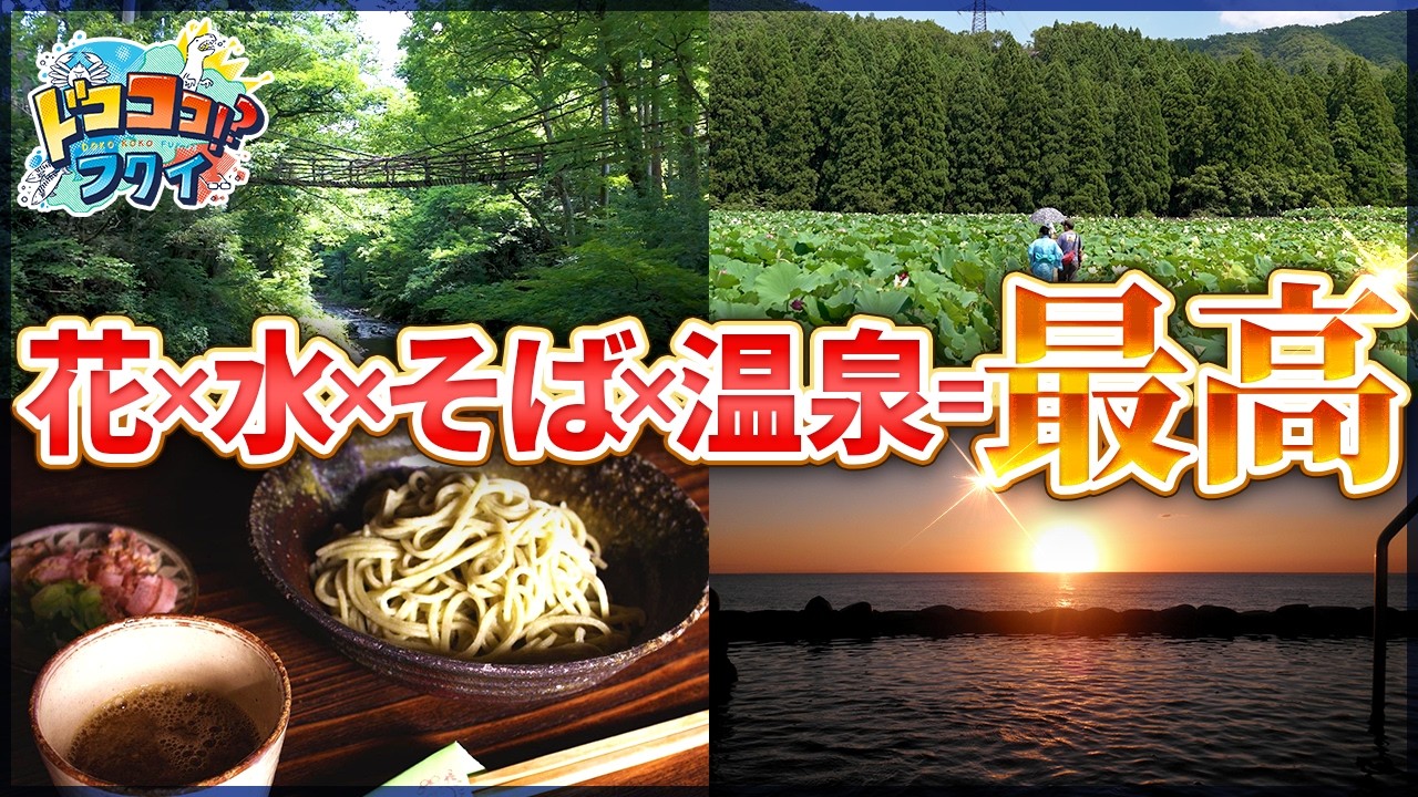 【神秘の花園】130種のハスが咲き乱れる！福井の知られざる楽園とは【ドコココ！？フクイ】福井県リアルインタビュー 岐阜発→丹南エリアドライブ観光編