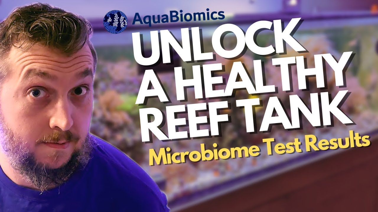 RESULTS ARE  IN! What This Simple Test Reveals About A HEALTHY REEF TANK!