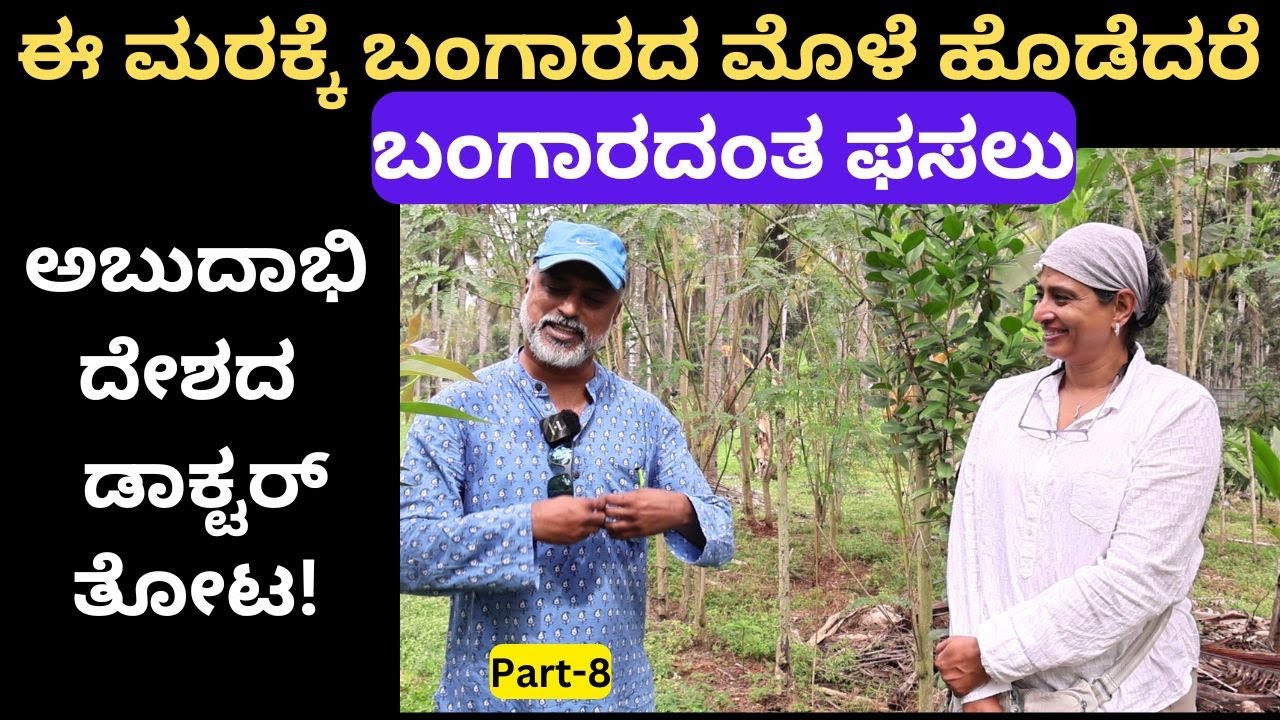 ವಿದೇಶದ ವ್ಯಾಮೋಹ ಸಾಕಾಯ್ತು. ಭಾರತದ ಮಣ್ಣು ಕೂಗಿ ಕೂಗಿ ಕರೆಯಿತು!!