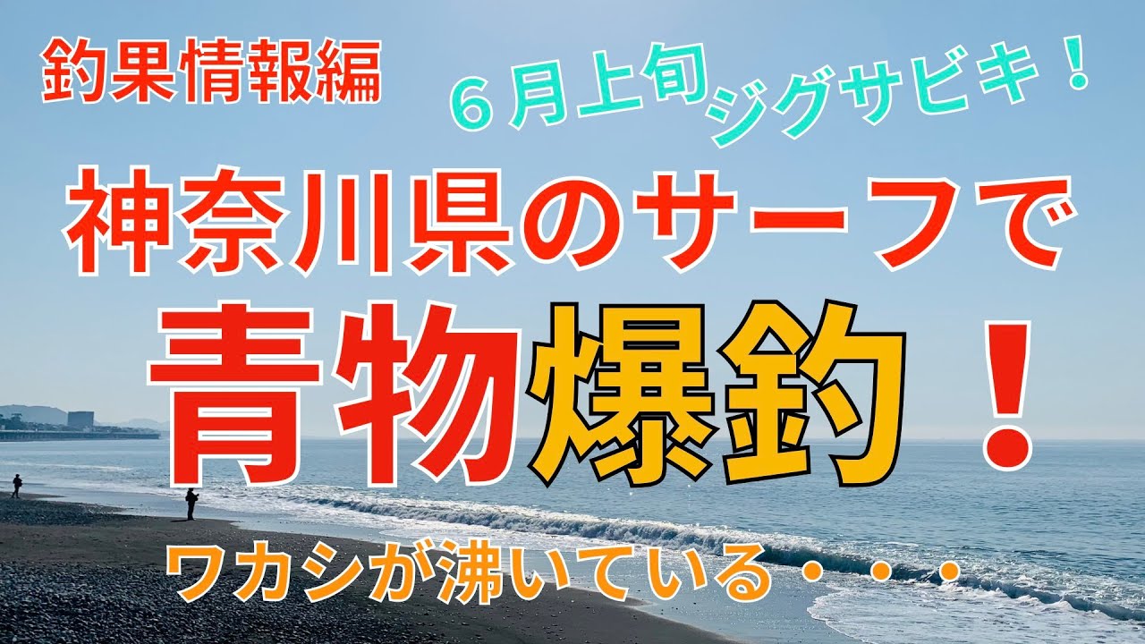 国府津海岸付近、神奈川県のサーフで青物大爆釣。6月上旬ライトショアジギング、ジグサビキで狙うはワカシ！ナブラだらけ！これなら初心者でも簡単に釣れます！
