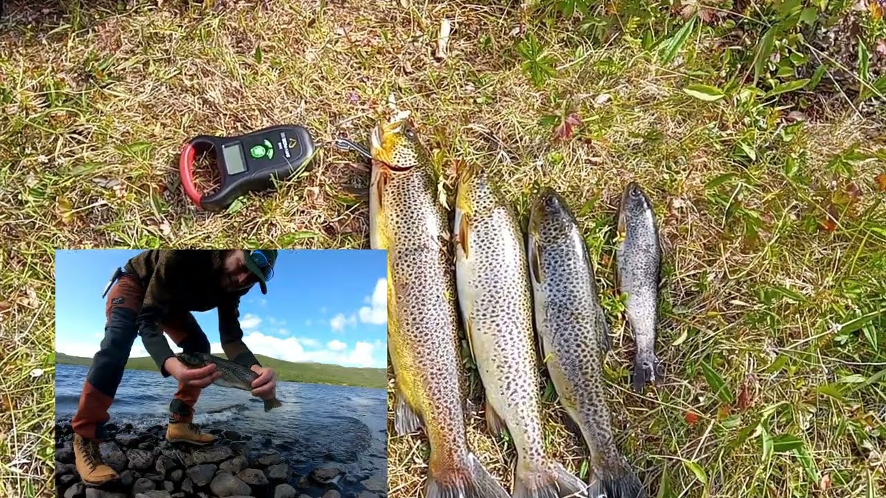 Fluefiske på Ossjøen