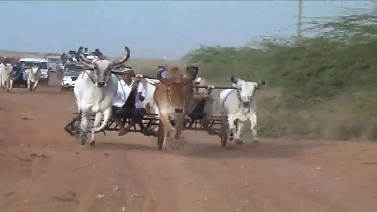 VIGAbeR RENKDA DHOD VOL-1   2012__ds audio