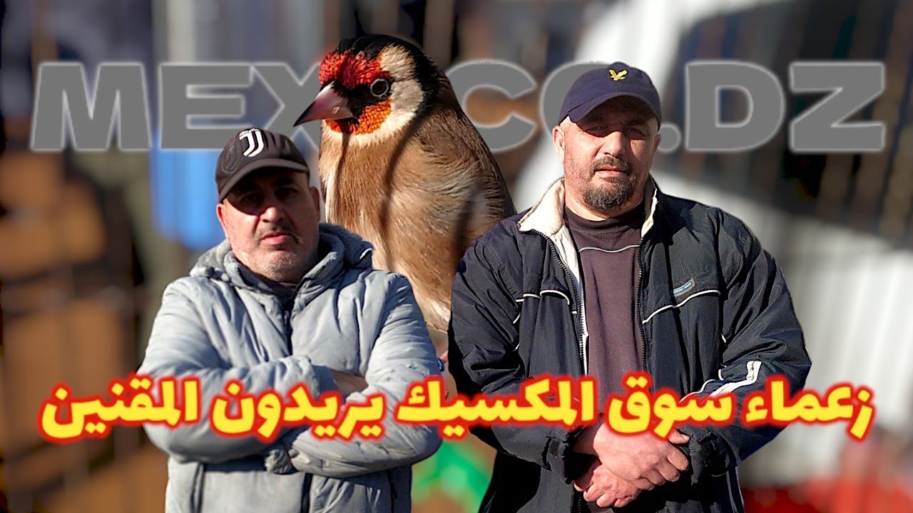 عودة الى سوق القليعة 