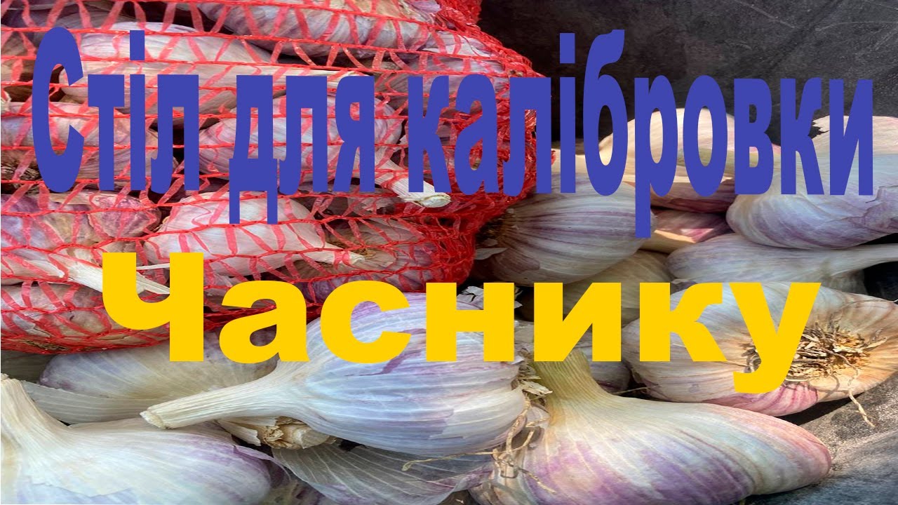Калібровочний стіл для Часнику