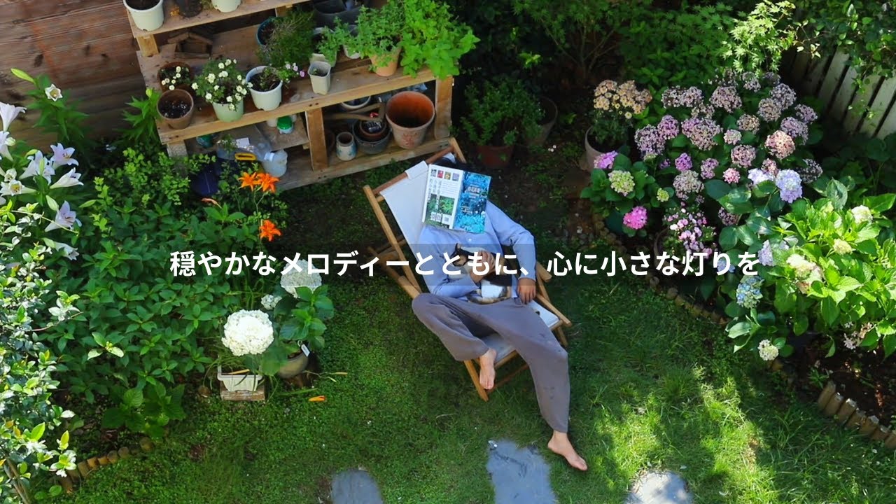【洋楽playlist】穏やかなメロディーとともに、心に小さな灯りを