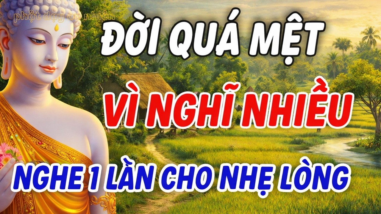 Đời Mệt Vì Nghĩ Nhiều – Nghe Lời Phật Dạy Để Buông Gánh Nặng Trong Tâm
