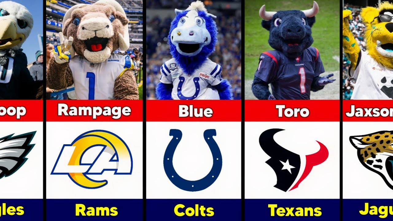 Every NFL Teams Mascots