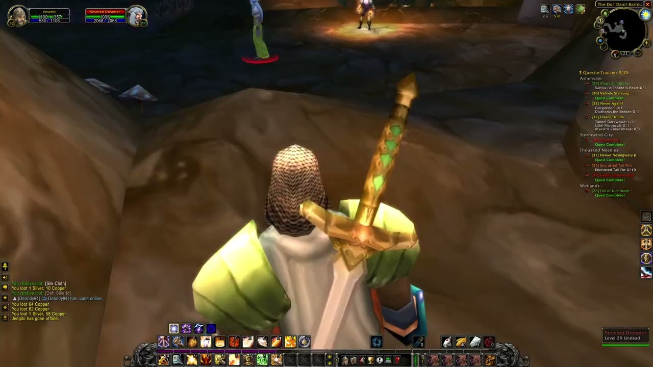 WoW anniversary Paladin gameplay
