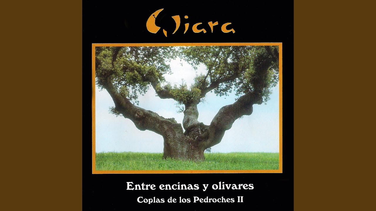 Mi Carbonero