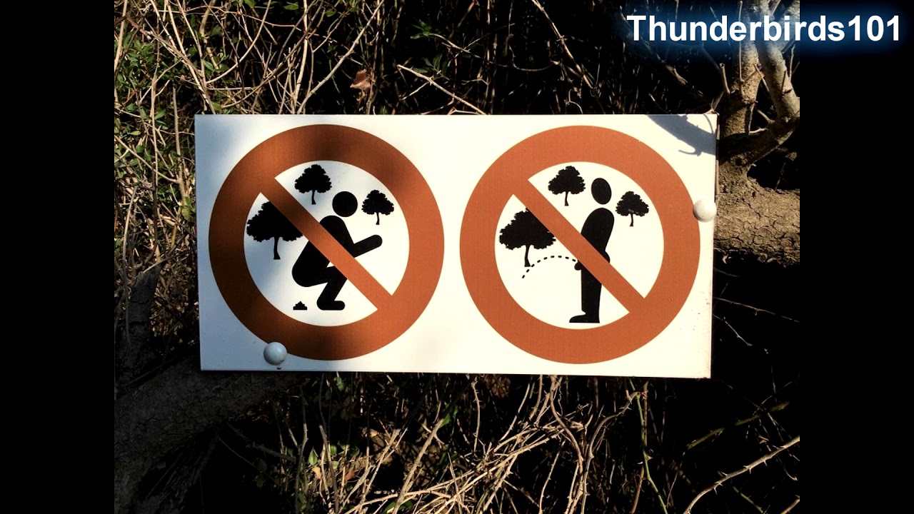 Microsoft Sam reads Stupid and Weird Signs THE THIRTY-FIRST