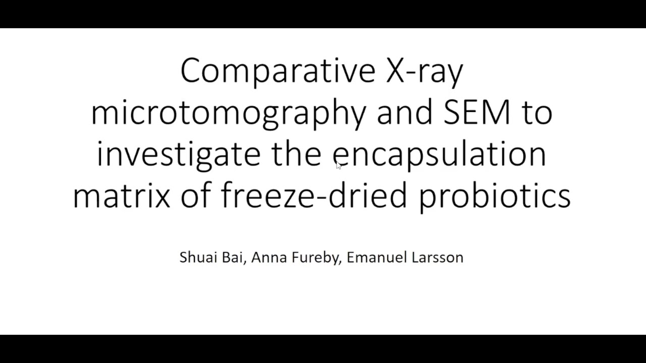 X-ray microtomography and SEM to investigate the encapsulating matrix of freeze-dried probiotics