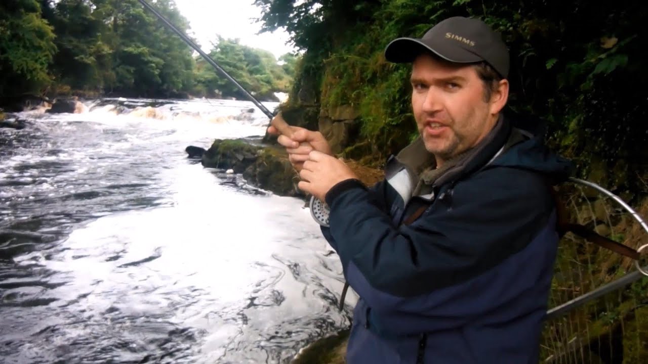 BARS OF SILVER ( The River Bush )