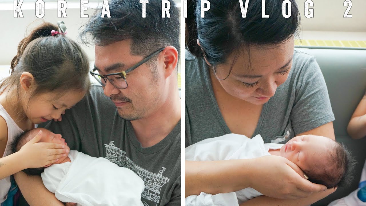 Meeting Our Newborn Twin Nephews - KOREA TRIP VLOG 2 | Our Yooniverse