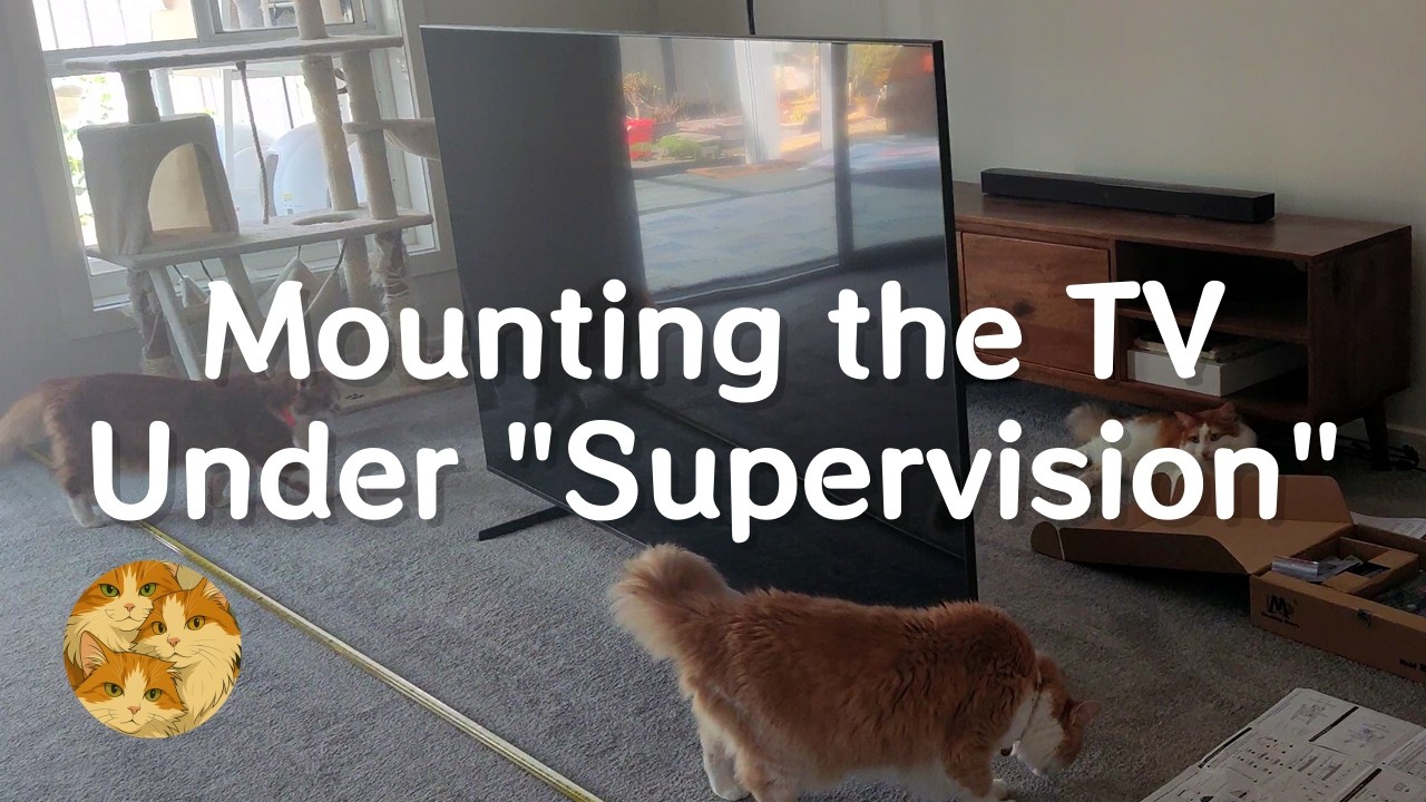 Mounting the TV Under Cat Supervision 在三喵監工下，把電視掛上牆