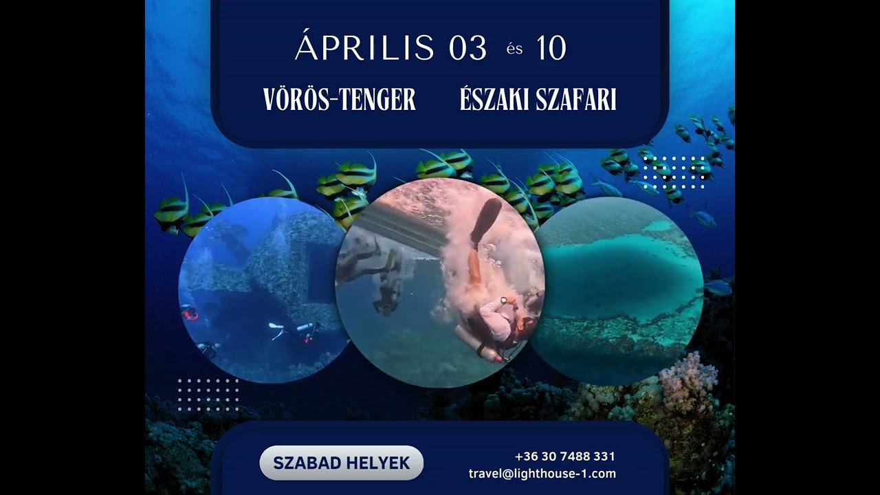 Szabad helyek - 2026 Április