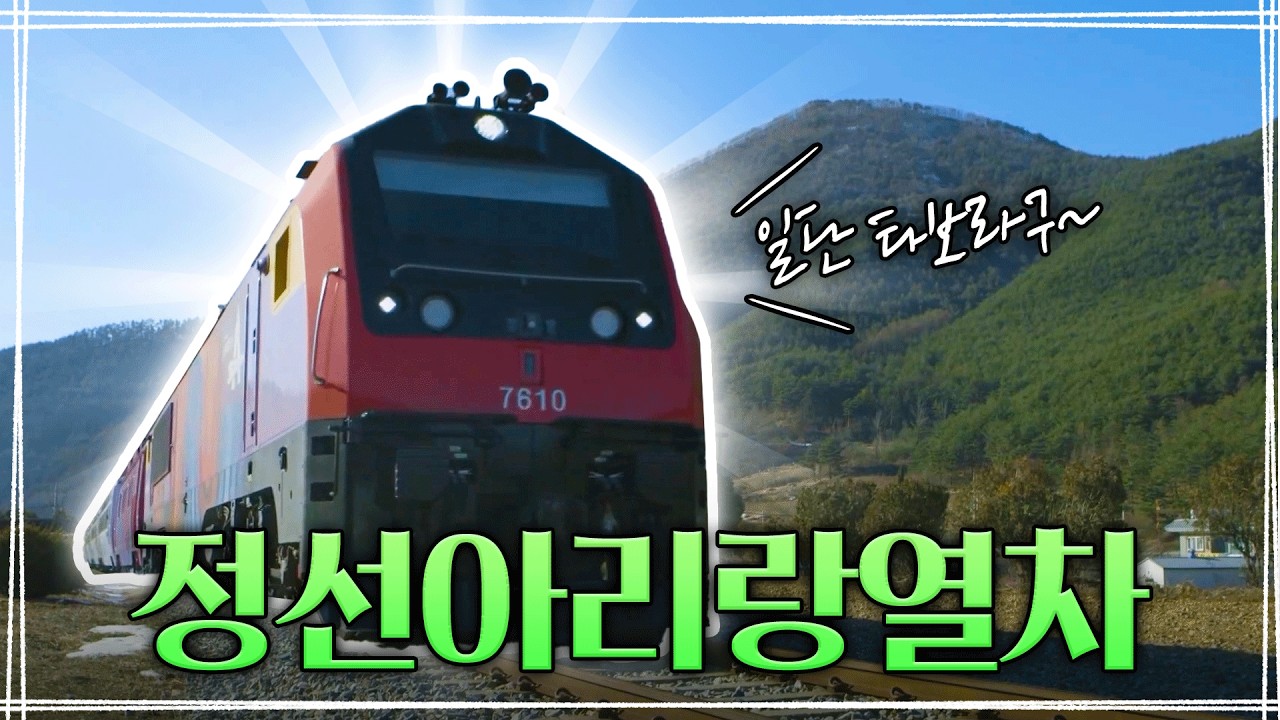 🚂 정선아리랑열차 타고 떠난 특별한 하루 여행!💚 #한국판스위스 #정선아리랑열차🌲