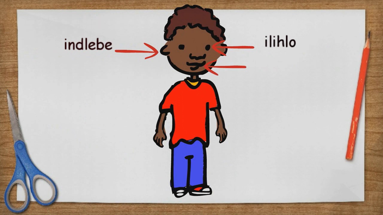 isiXhosa Die liggaam 5.1