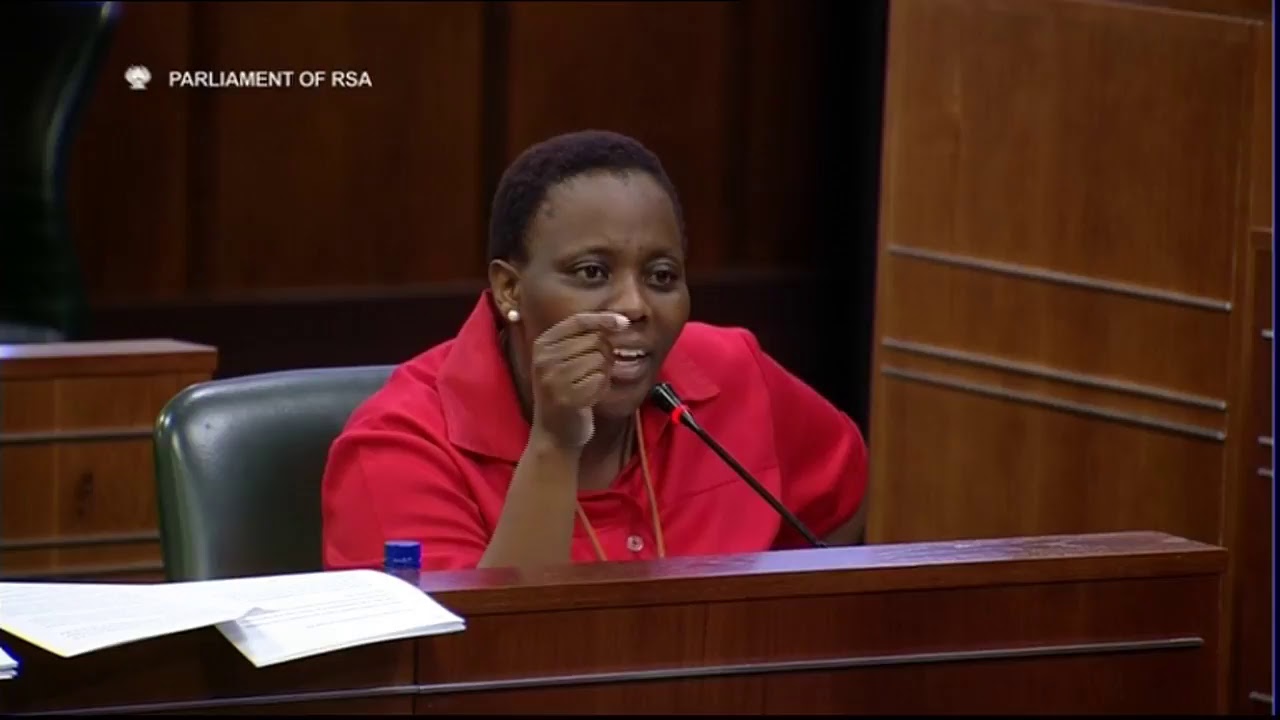 Constitutional Review Committee