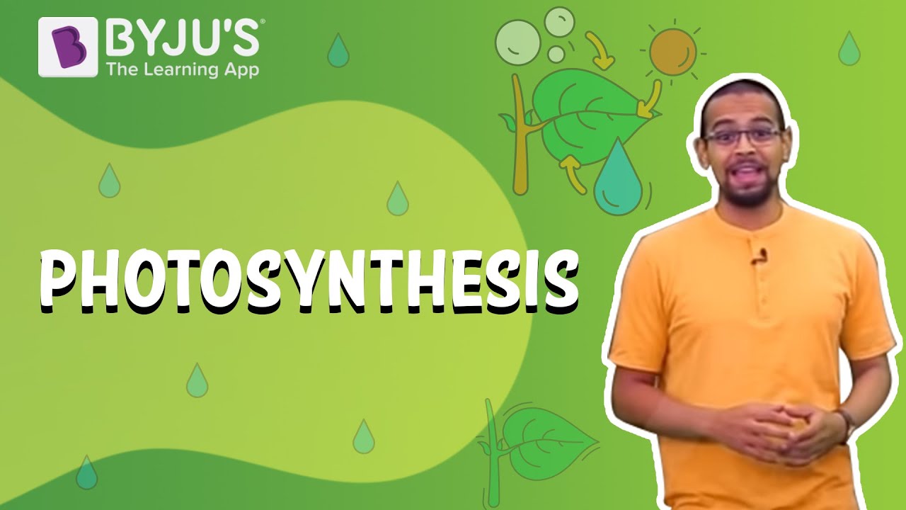 Photosynthesis- How Plants Make Food | Learn with BYJU&rsquo;S