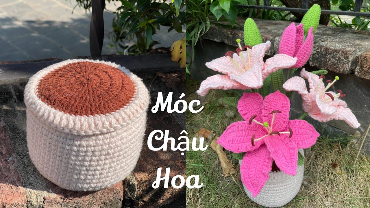 #222 Crochet Flowerpot | Móc Chậu Hoa Và Đất Size Lớn | Dương Liễu Handmade