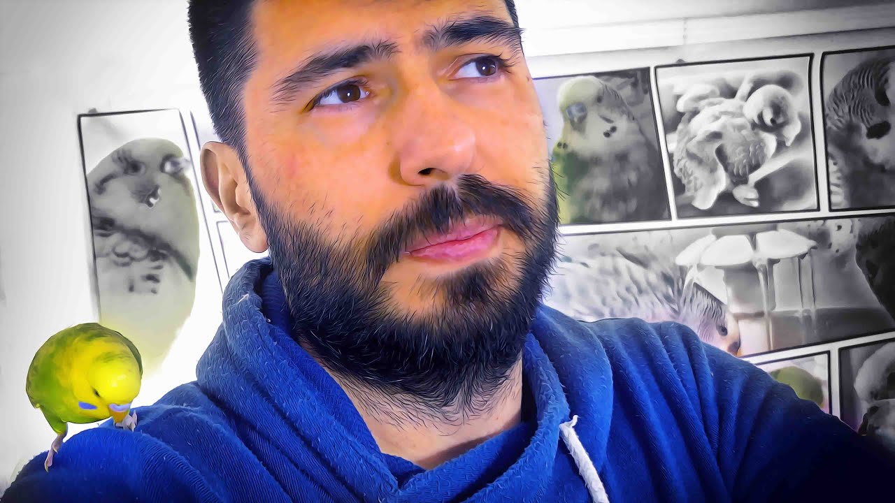 My Budgie is gone 😥