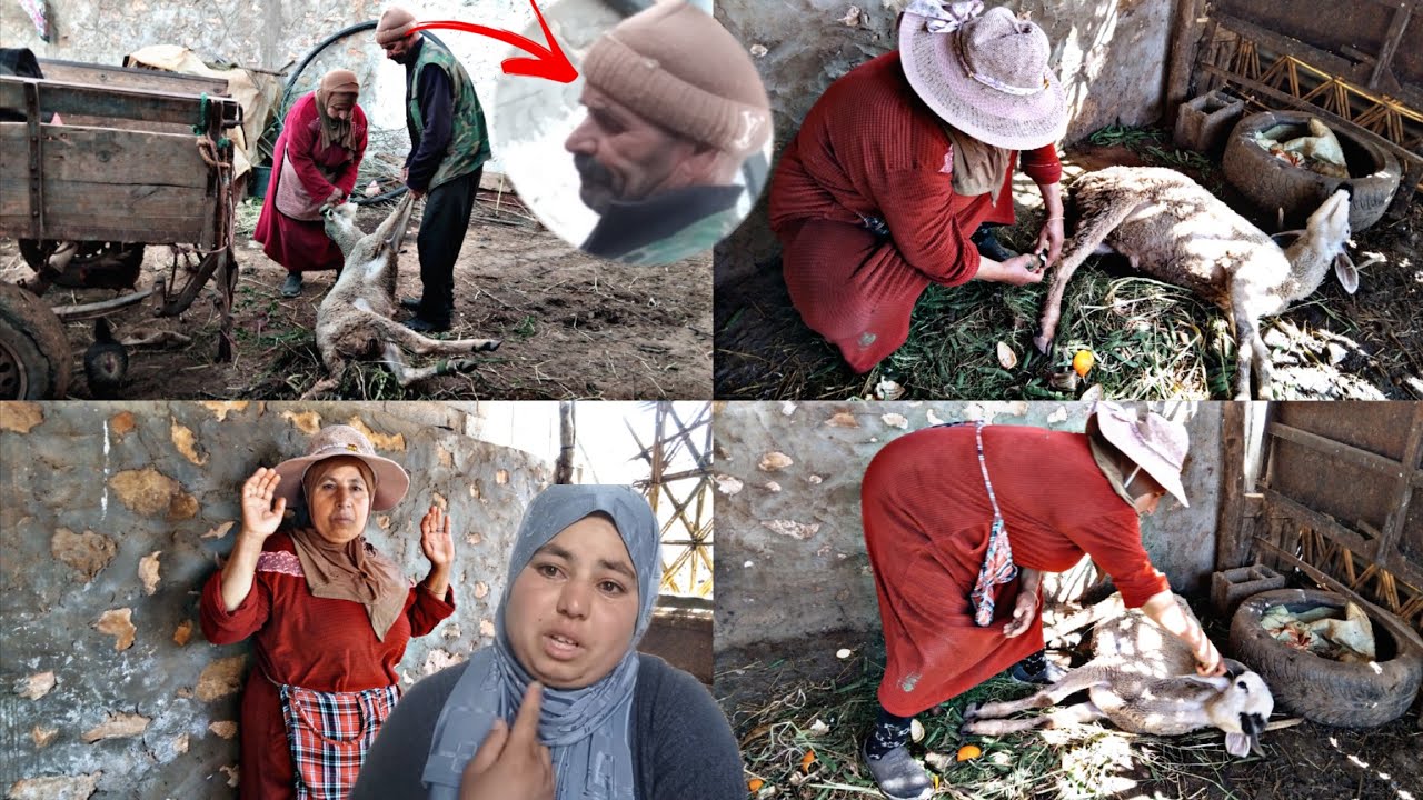 😭خسارة بعد خسارة🥹الحمدالله على عطيت الله 