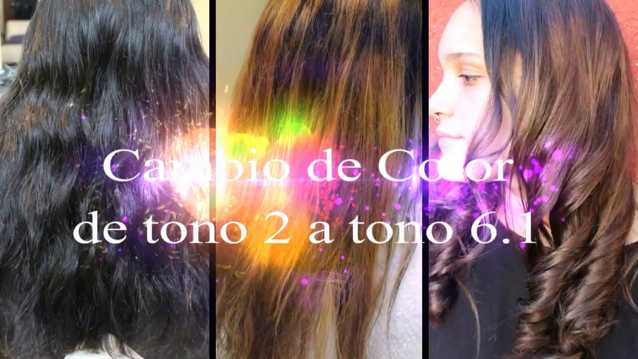 Decoloración Tinte 2 Color Objetivo 6 1 Yellow Alfaparf
