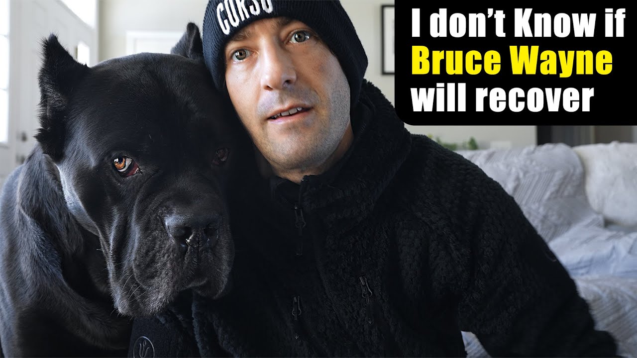 I Don't Know if Bruce Wayne Will Recover - K9 Advantix II Almost Killed Him
