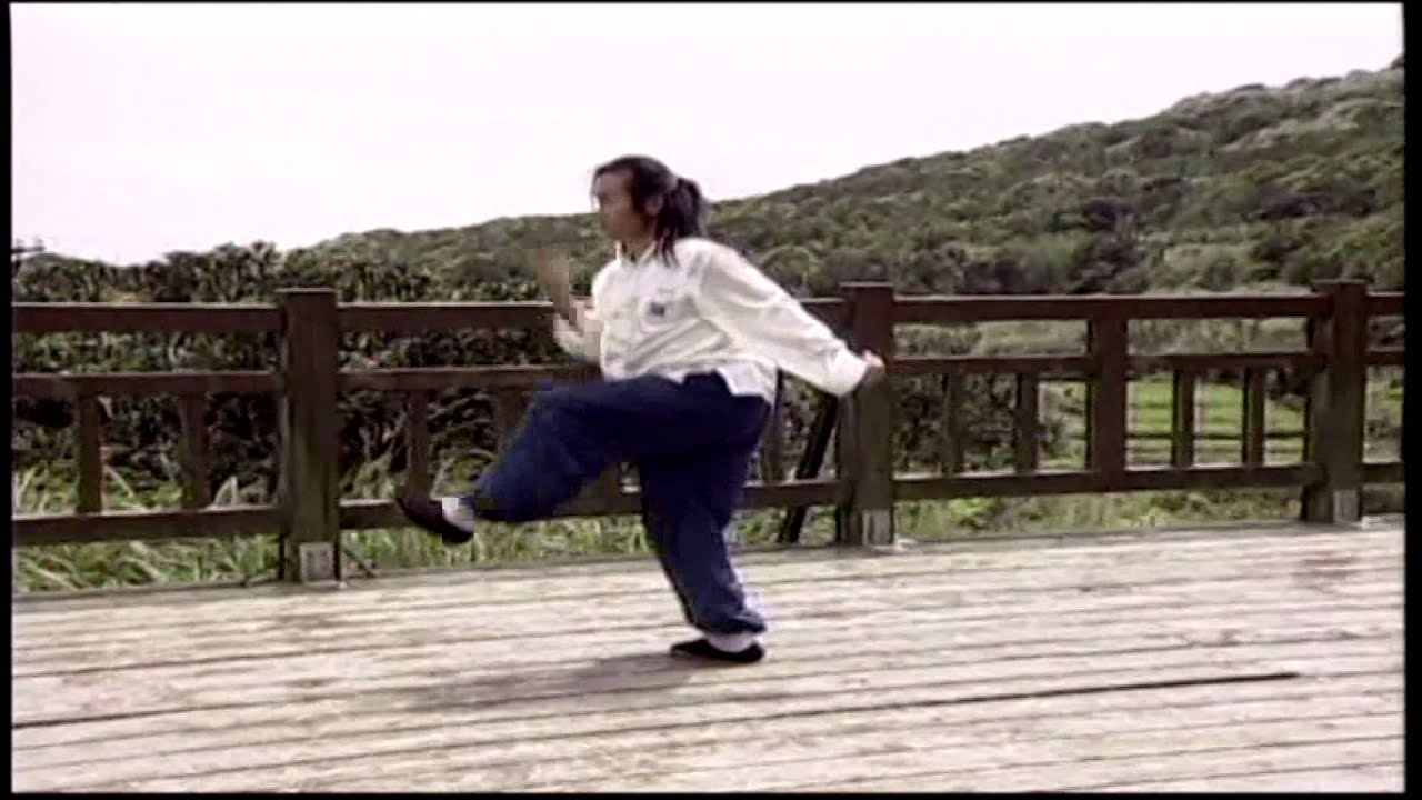 拳路分享 