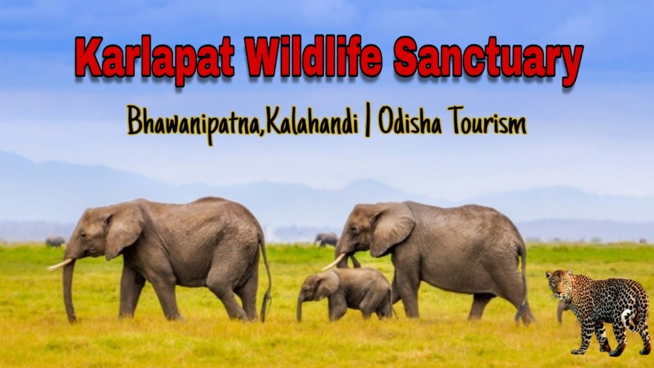 Karlapat Wildlife Sanctuary🐘🐆 | Odisha tourism | Royal Enfield &hearts;️ | Karlapat Village, Kalahandi |