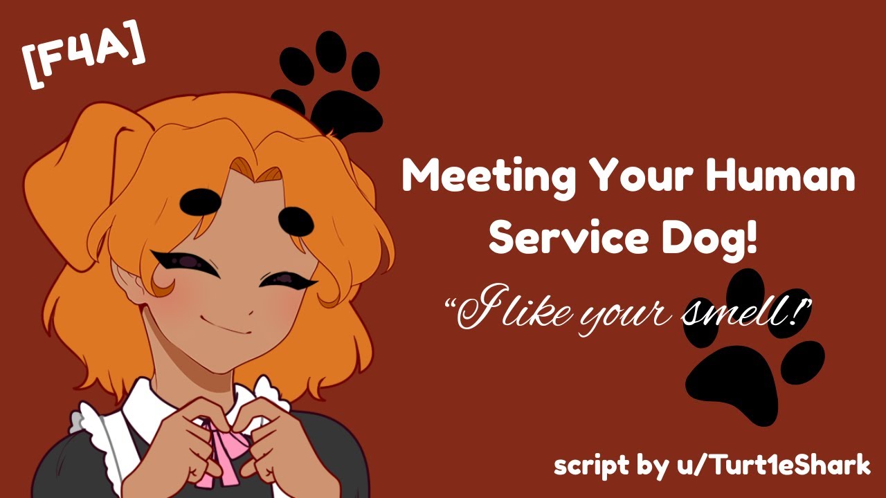 Meeting Your Human Service Dog! [F4A] [Inu Speaker] [Disabled Listener] [ASMR Roleplay]