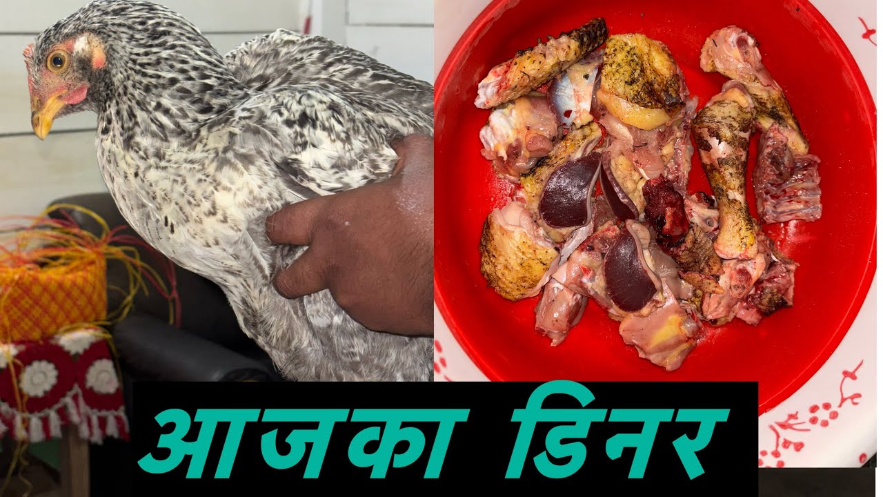 Local chicken ka dinner aaj || देसी मुर्गी का डिनर होगा आज #cooking #viral #food #chicken #youtube 