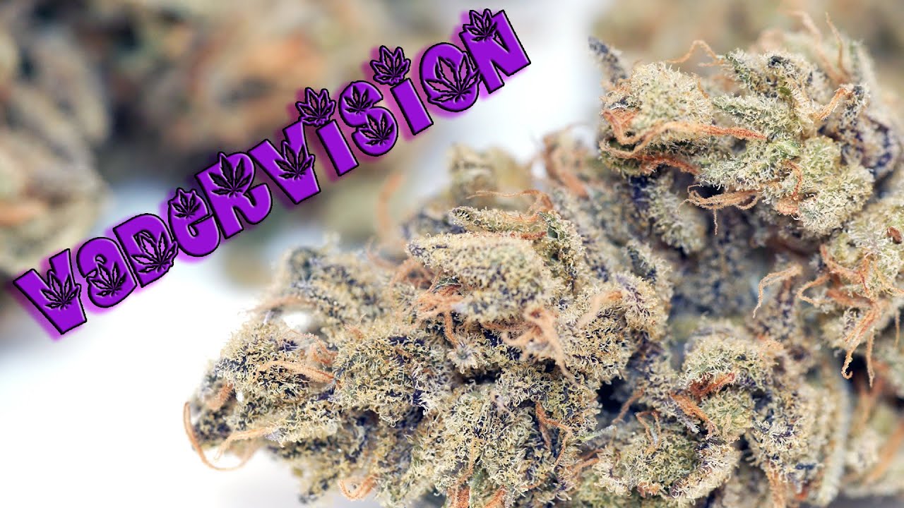 Seed to Harvest with Sensational Results!