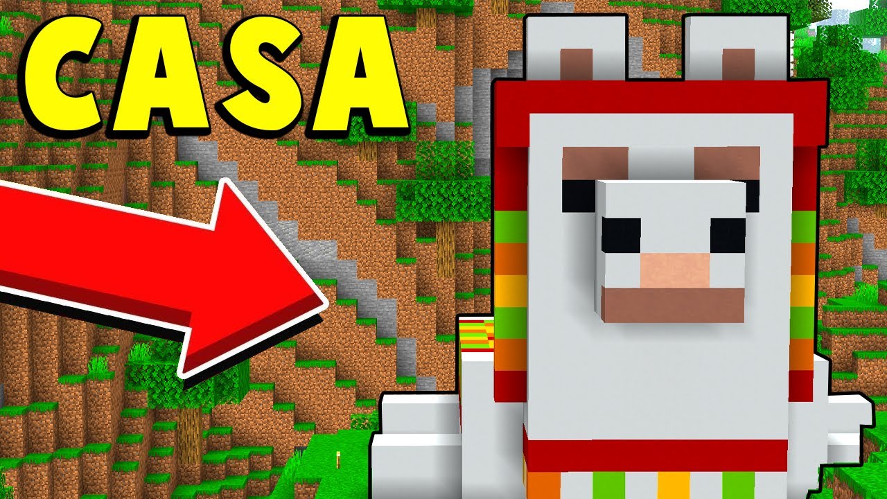 LA NUOVA CASA DEL LAMA - Minecraft ITA