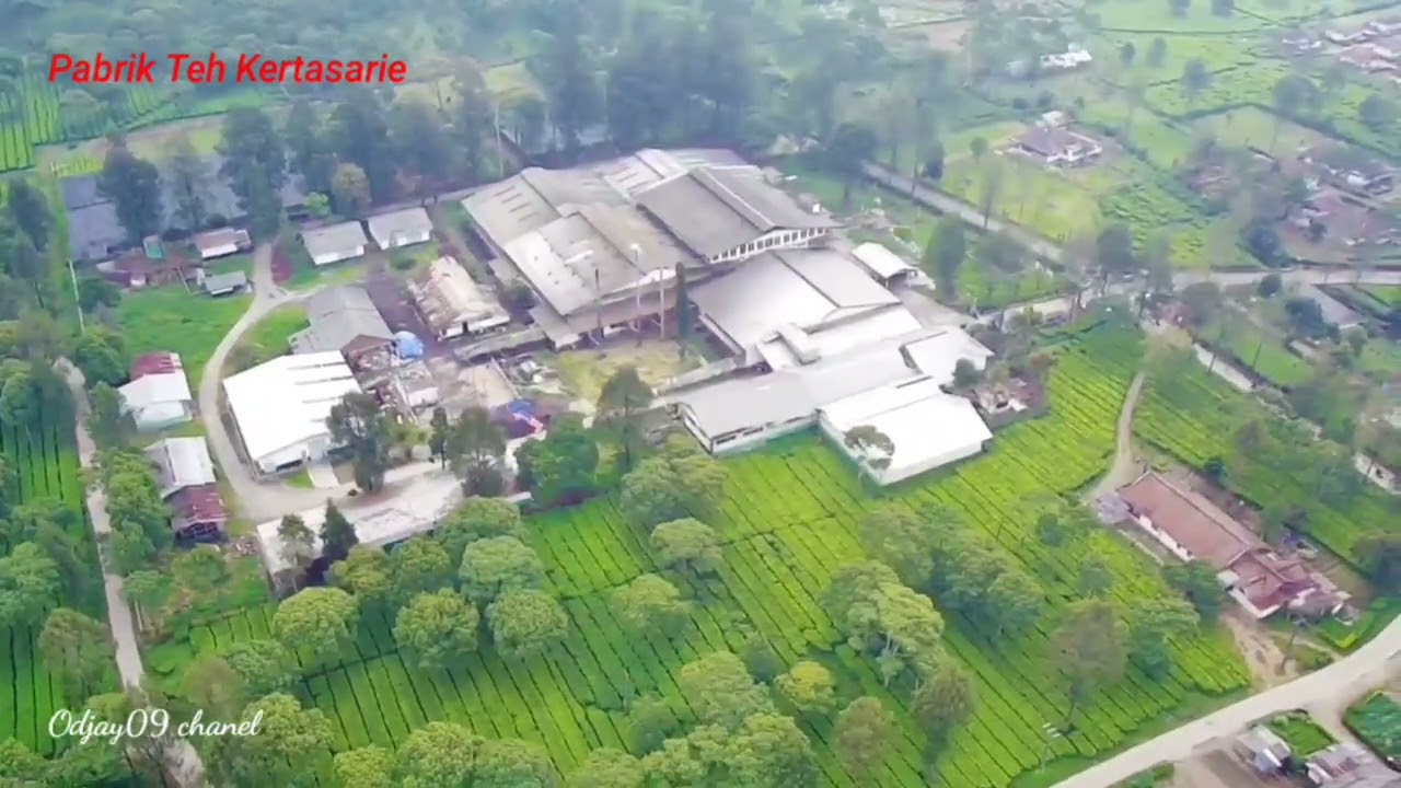 Pabrik Teh Kertasarie#sjrc #trending #drone ##shorts #short #shortsvideo #shortsyoutube #trending