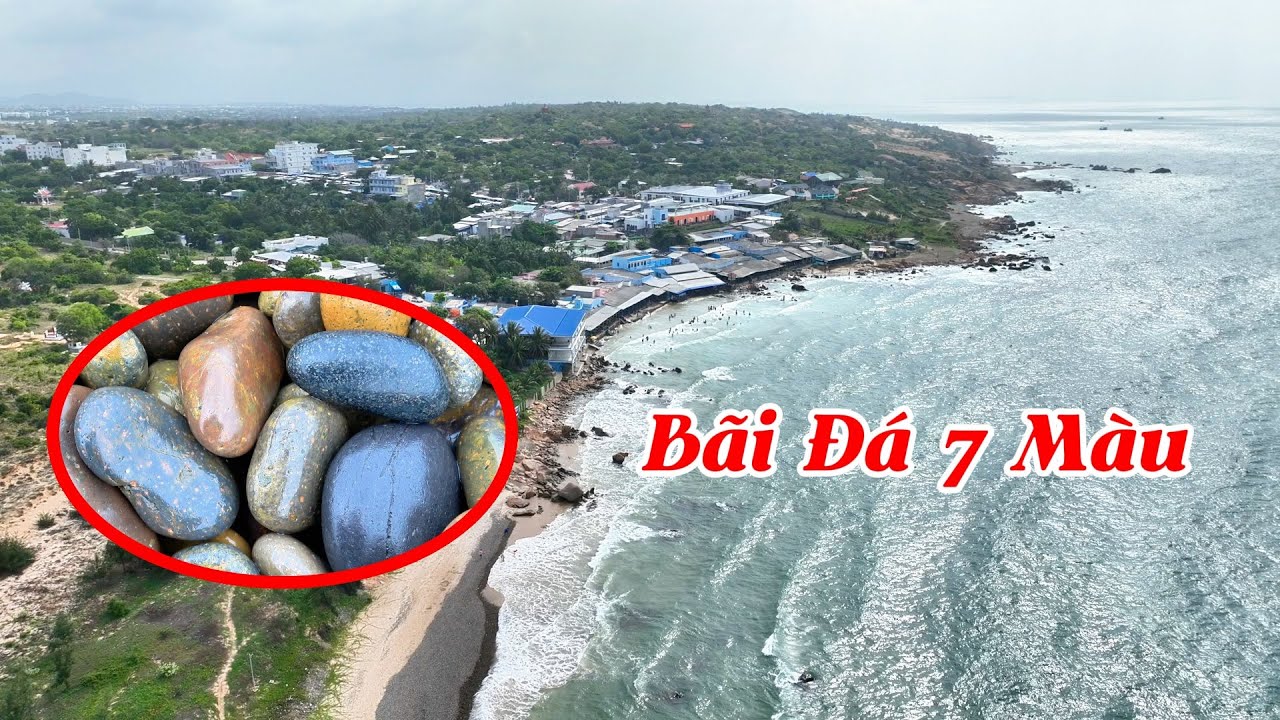 Khám Phá Bãi Đá 7 Màu Và Chợ Đêm Cổ Thạch – Vẻ Đẹp Kỳ Lạ Và Hải Sản Tràn Ngập - KDL Biển Cổ Thạch