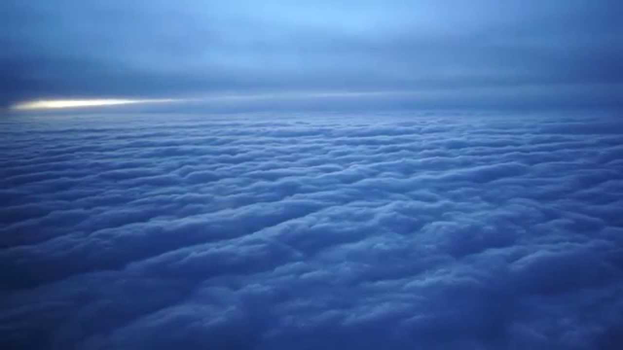 Dasha Rush - Ocean Shy  / Official Video / Timid Ocean Drawings /
