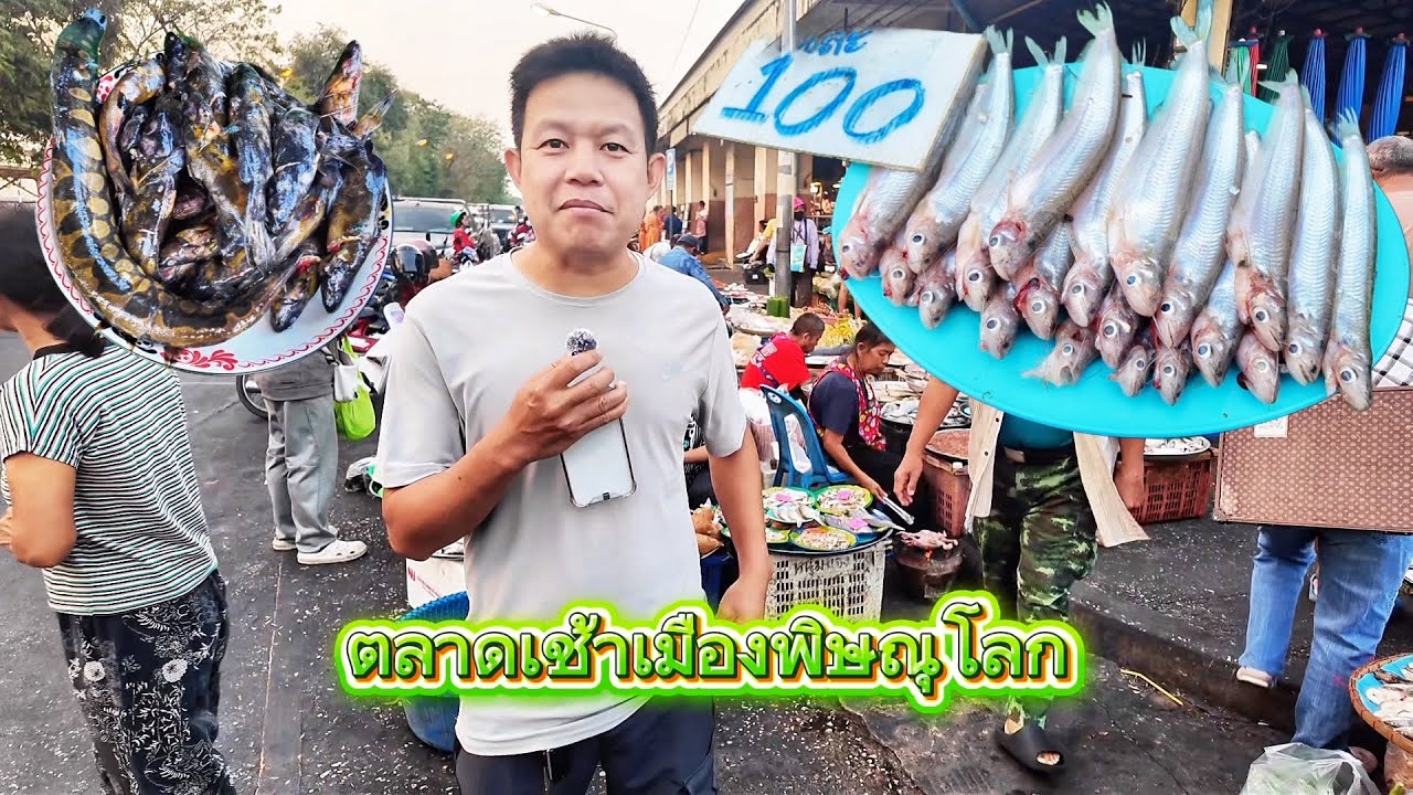 ตลาดเช้าพิษณุโลก ￼ชมปลาแม่น้ำ￼ เดินทางสู่เชียงราย(จบ)
