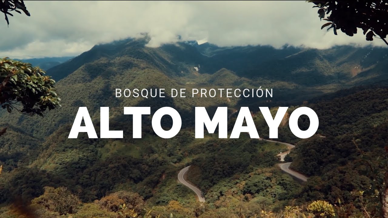 Alto Mayo, de vuelta al paraíso