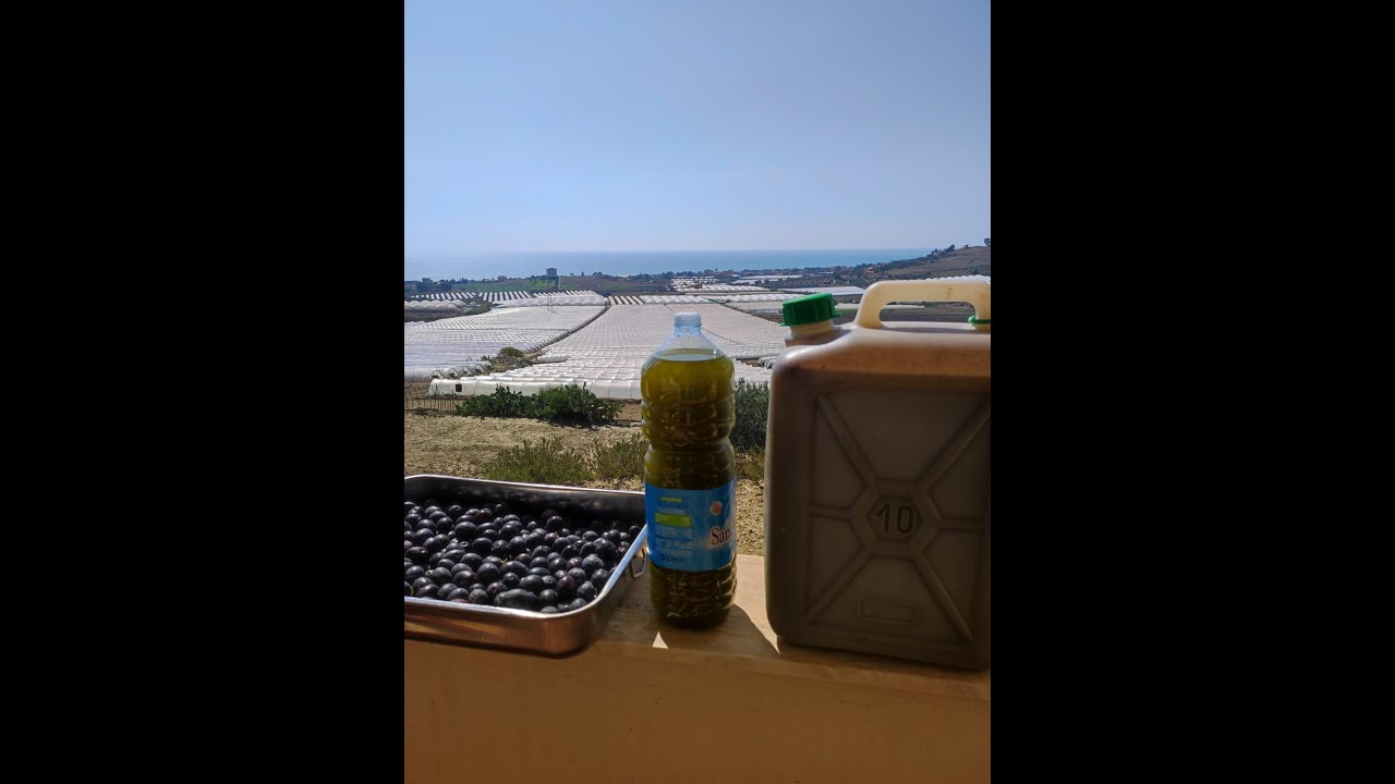 Olio d'oliva - Raccolta 2022.