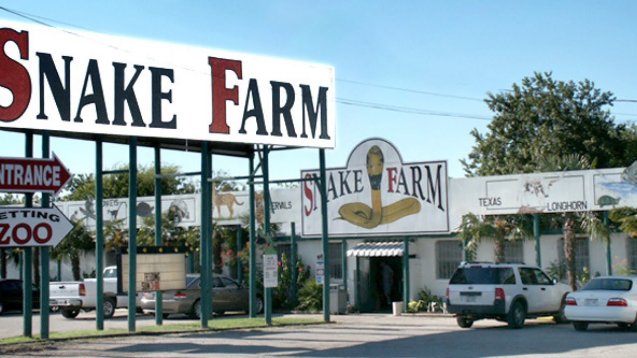 Taking Brits to the New Braunfels Snake Farm