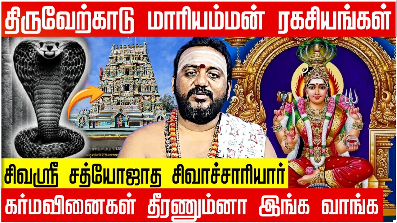 Thiruverkadu Karumari Amman: The Goddess Who Destroys Karma and Sarpa Dosha