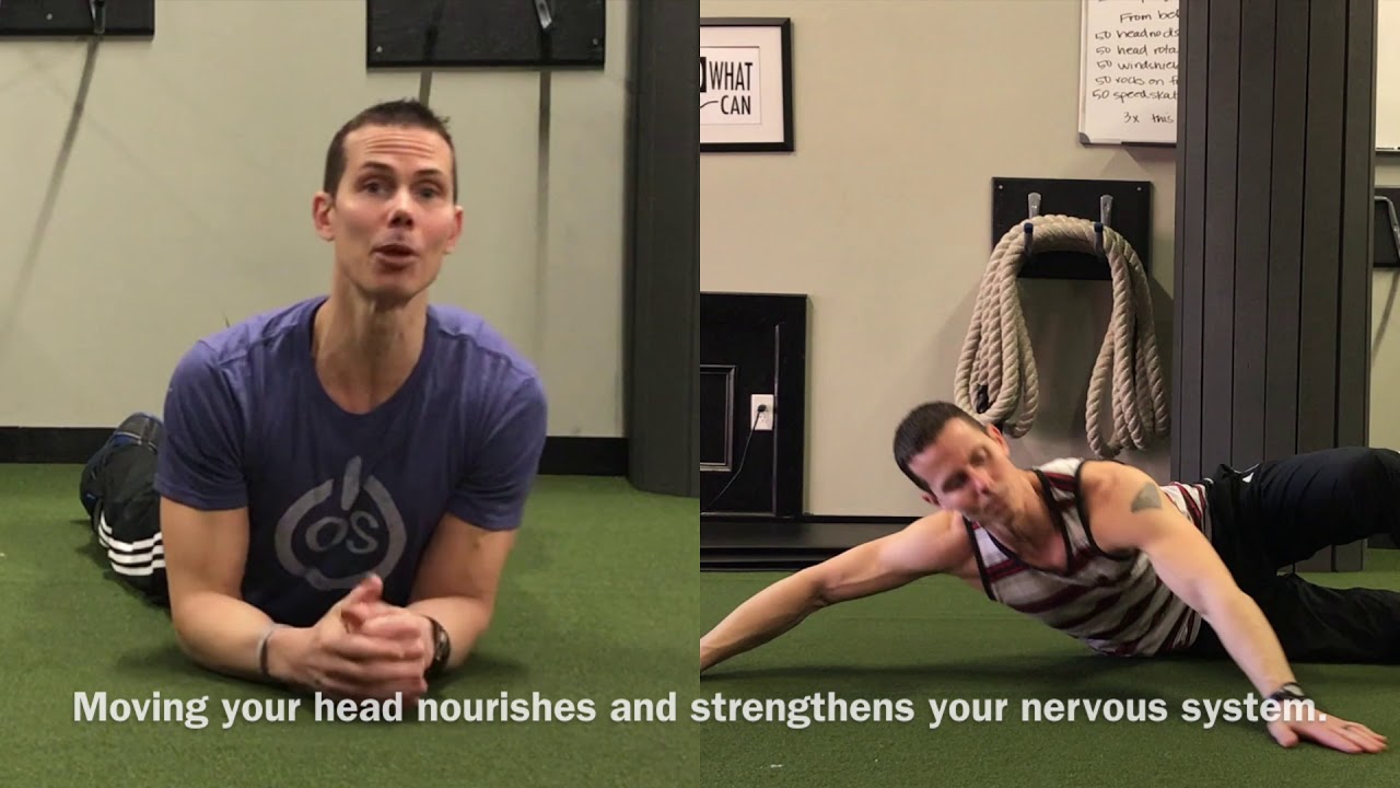 Why we focus on the Vestibular System