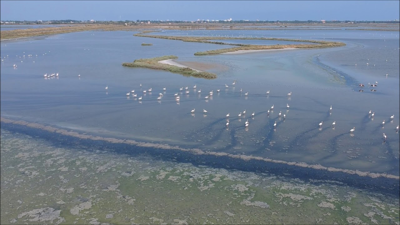 Delta del Po