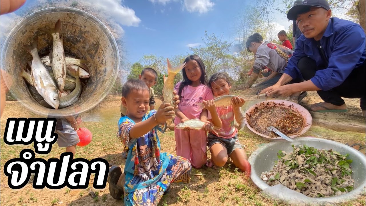 ซอยจุ๊ปา￼กินปลากับสาวมีไชหลายๆคน ￼#บ่าวอร่อย 