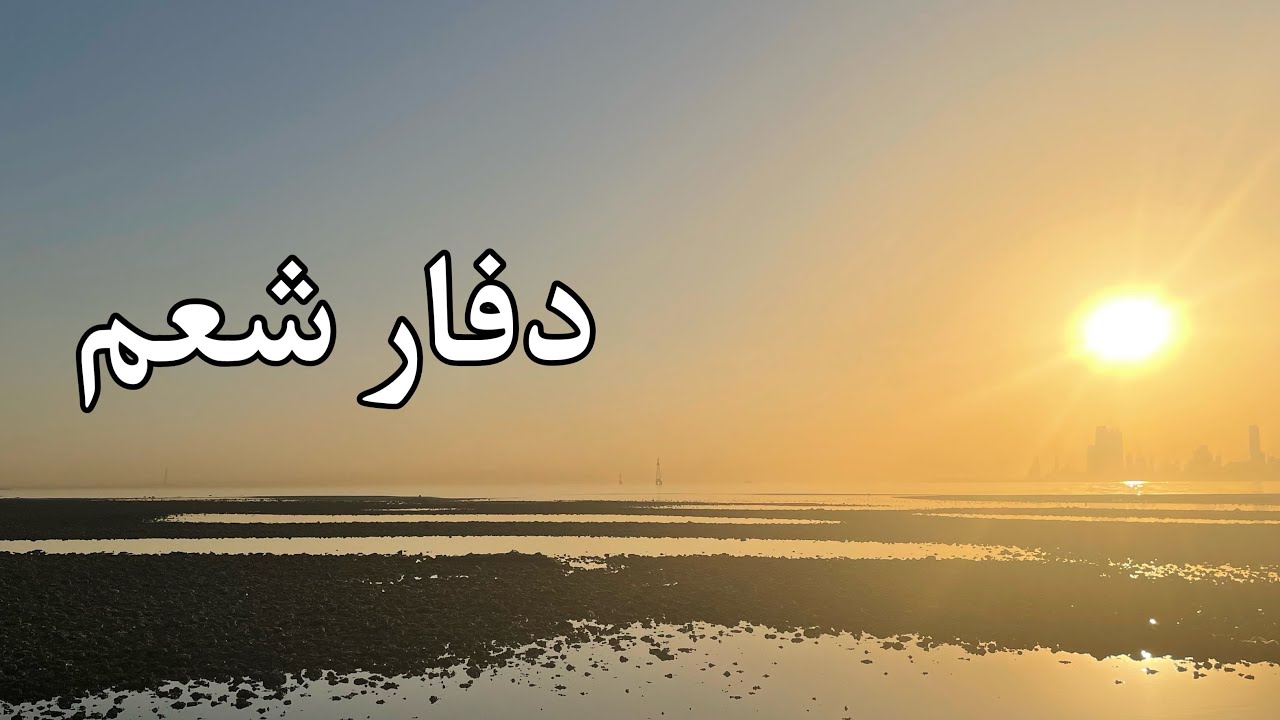 دفار شعم صيد على الميارير السطحيه top water bream
