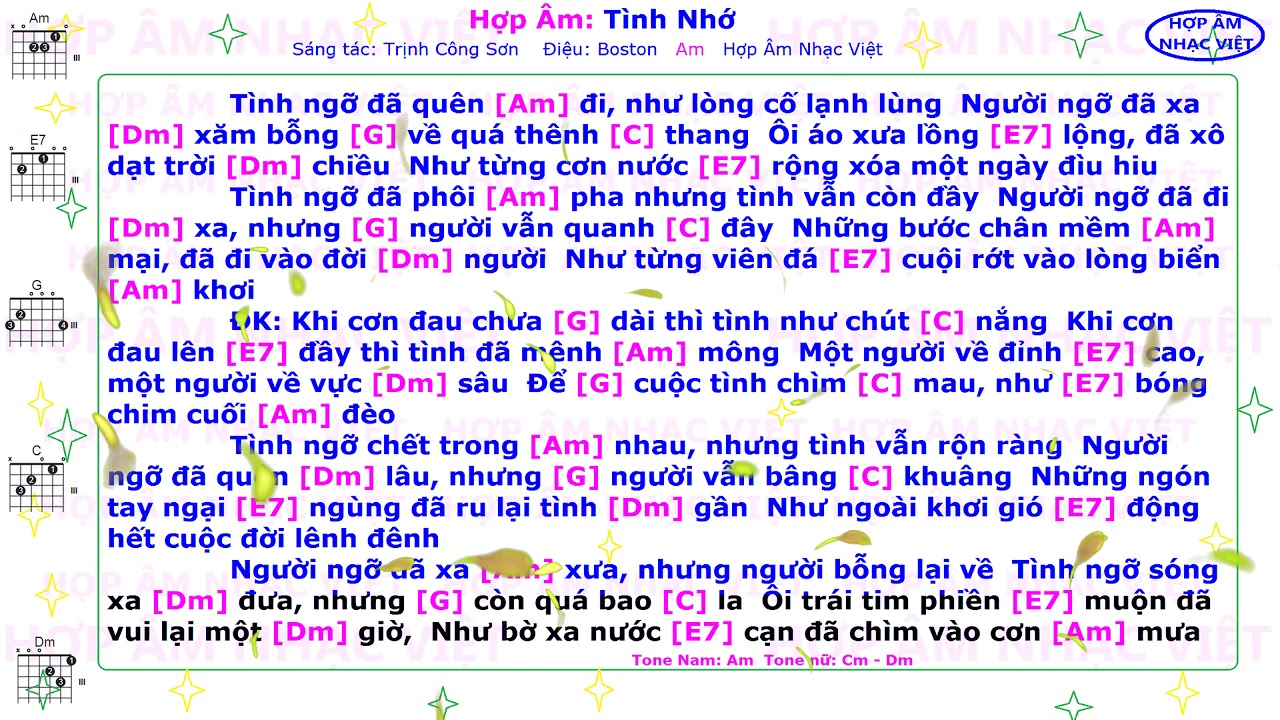 Hợp âm | Tình nhớ | Am | Hợp Âm Nhạc Việt