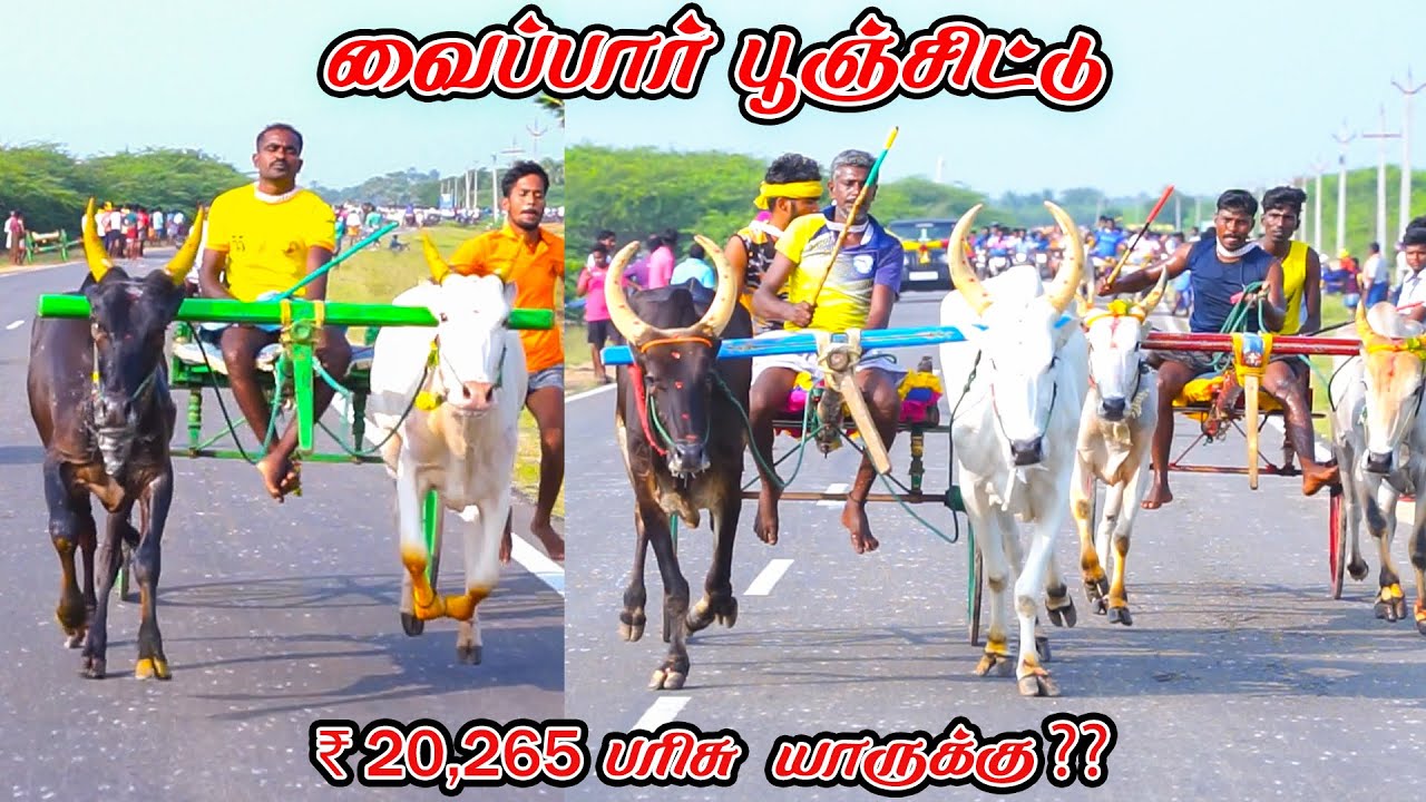 2வைப்பார்-பூஞ்சிட்டு-பந்தயம்_04.01.2024_V_Photography