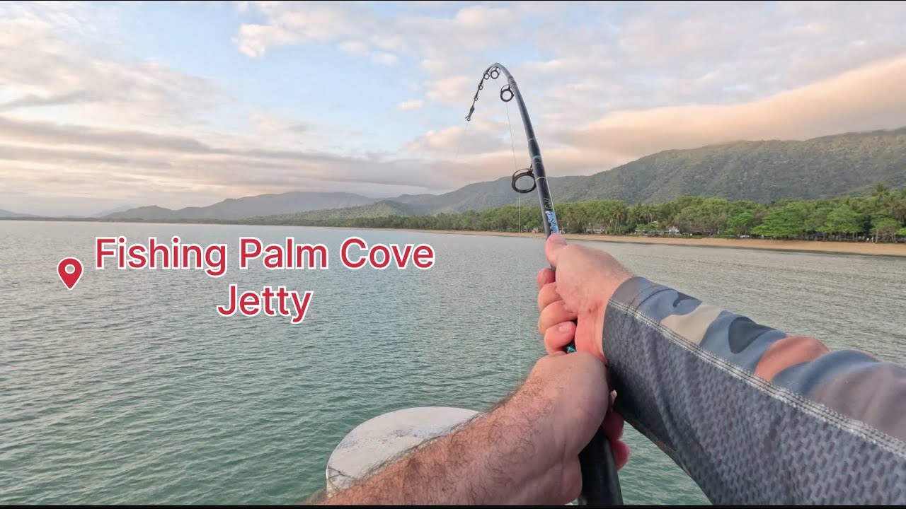 Land Based Fishing Palm Cove Jetty